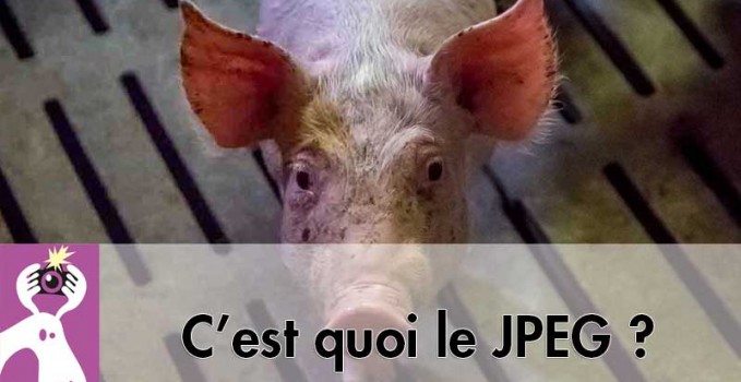 quoi-sert-le-jpeg